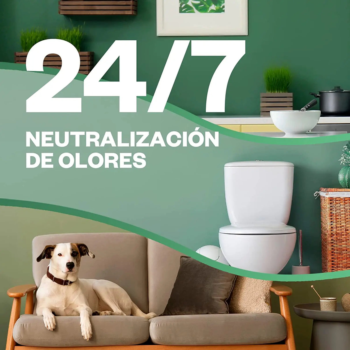 Air Wick Active Fresh Spray Automático sin Aerosol – Ambientador Flor de Jazmín con 3 Recambios para el Hogar